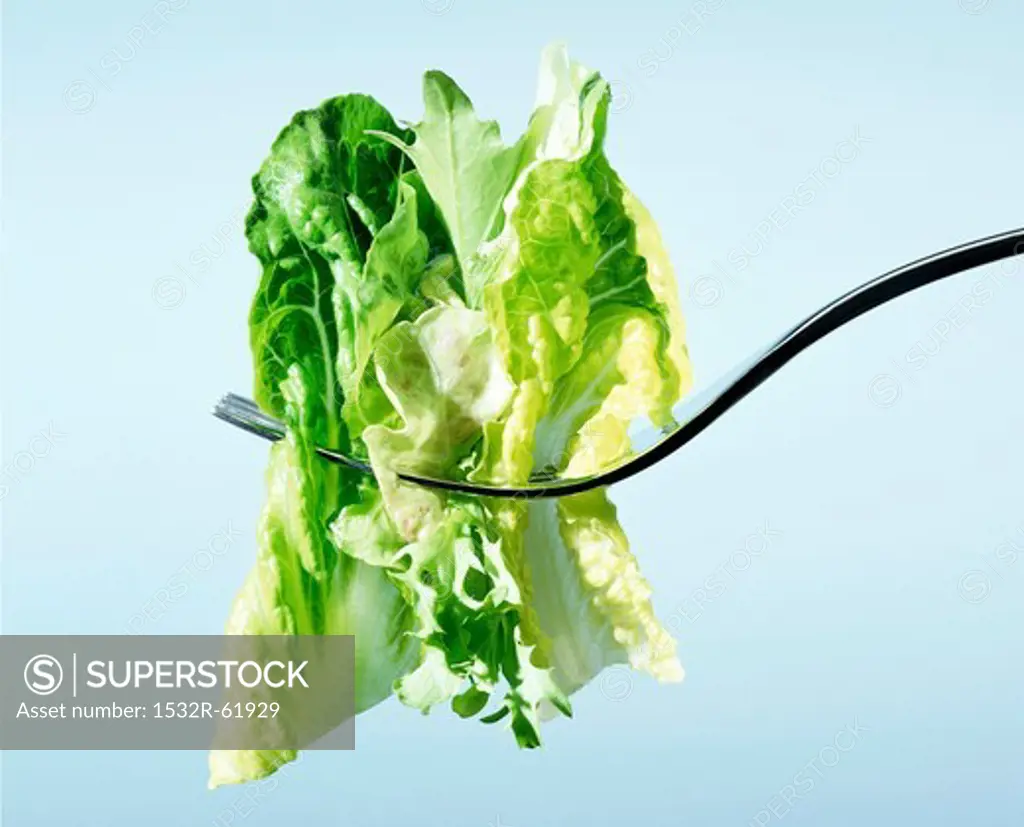 Lettuce on a fork