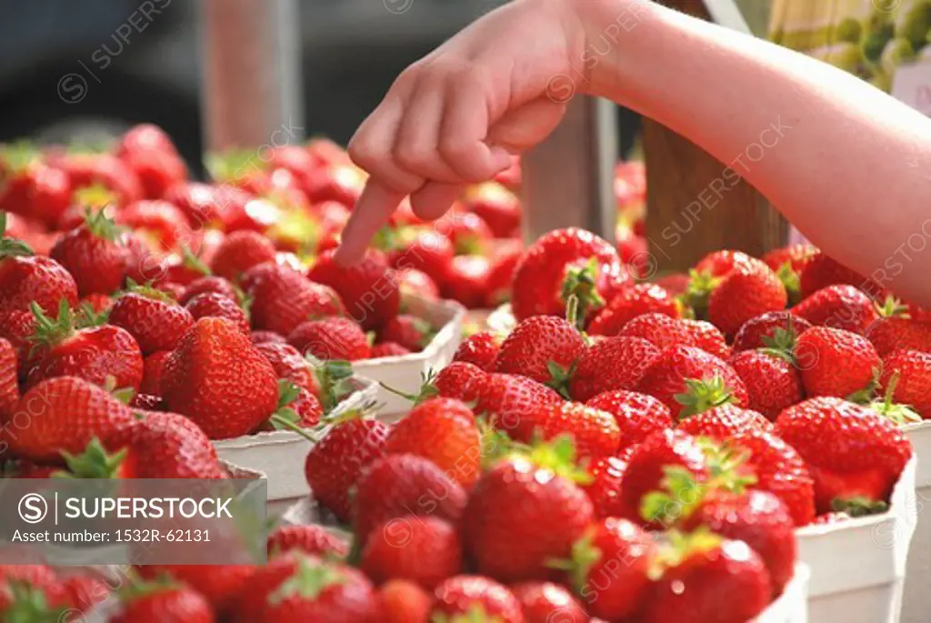 A child's hand pointing to strawberries in paper punnets