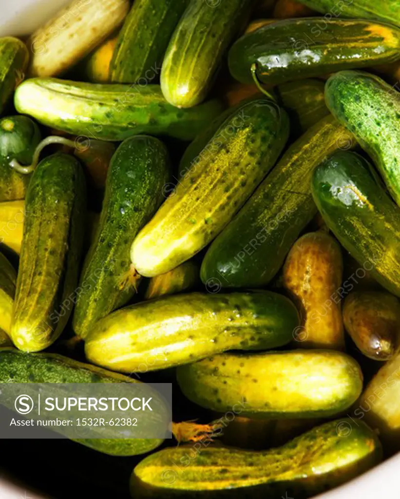 Cucumbers in Pickling Marinade
