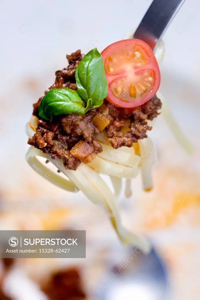 Linguine with a minced meat sauce, tomatoes and basil on a fork
