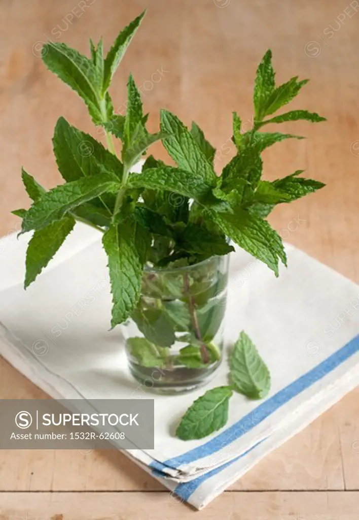 Fresh Mint from a Maine Garden in a Glass of Water