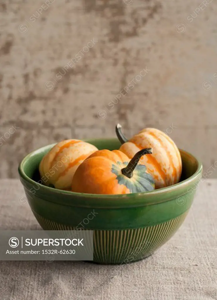 Maine Grown Celebration Squash in a Bowl