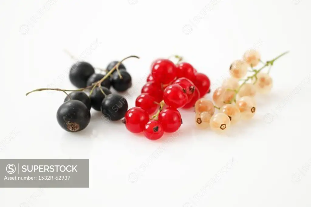 Blackcurrants, redcurrants and whitecurrants