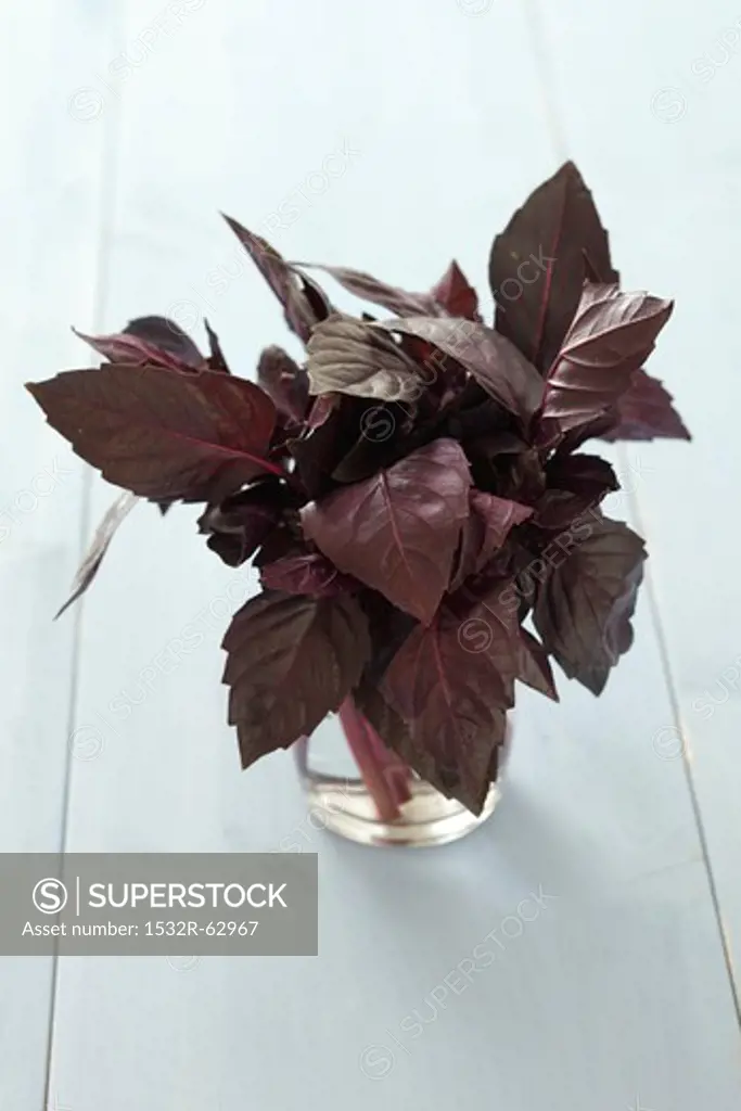 Purple basil in a glass of water