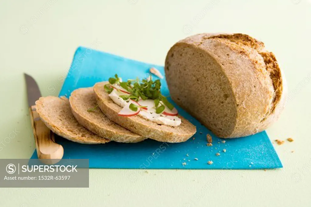 A slice of bread topped with radishes and cress