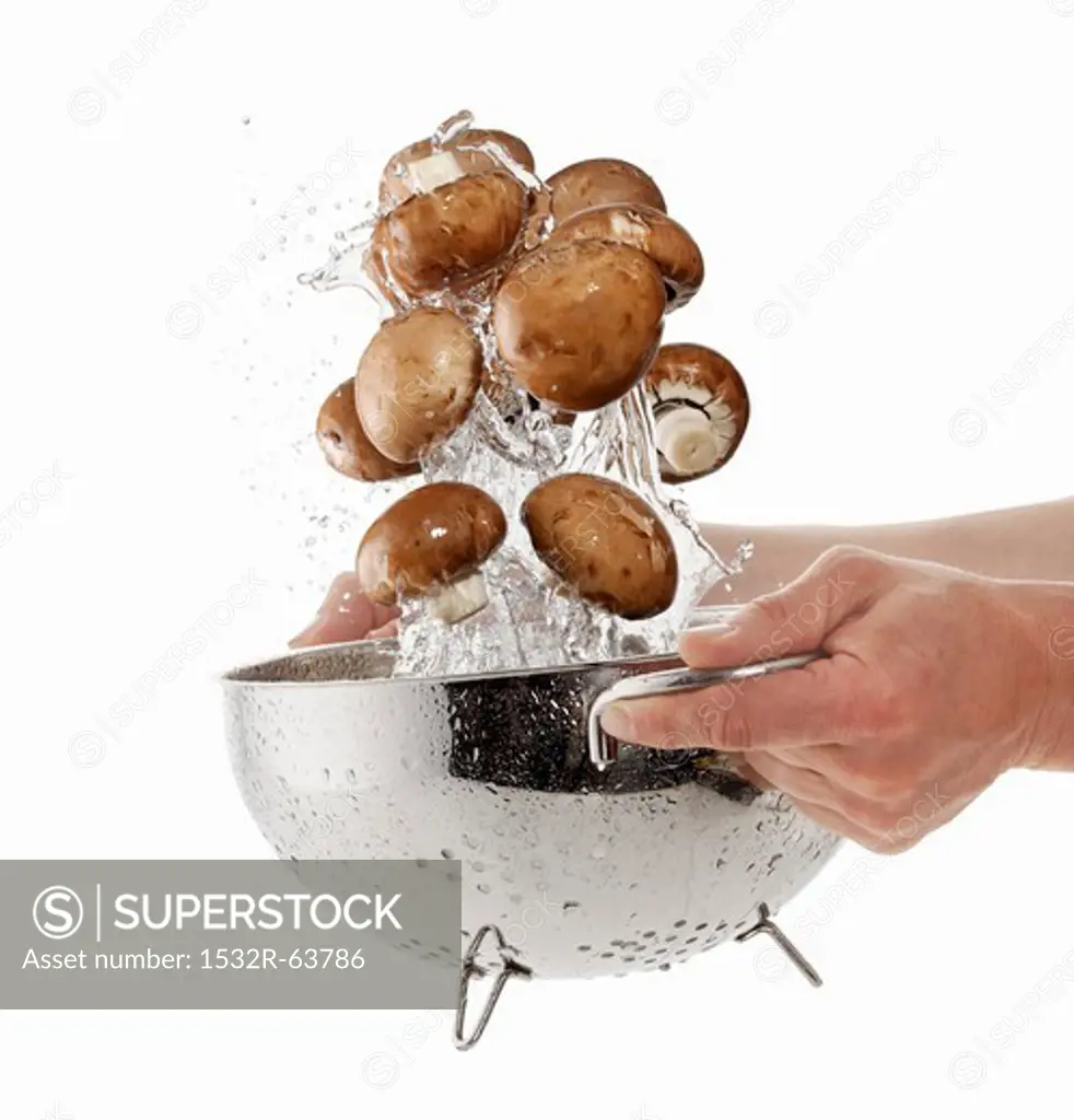 Brown mushrooms being washed in a sieve