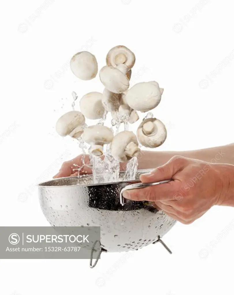 Mushrooms being washed in a sieve