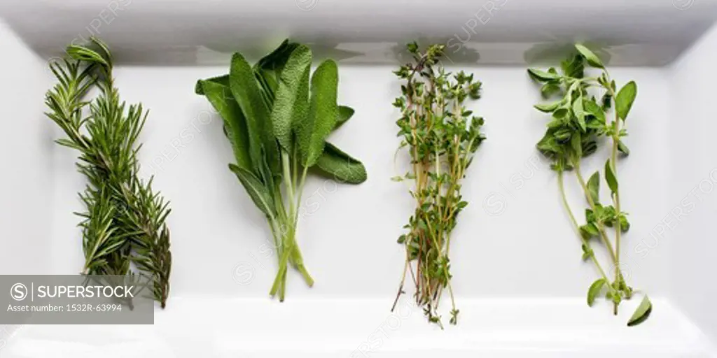 Four Fresh Herbs; Rosemary, Sage, Thyme and Oregano