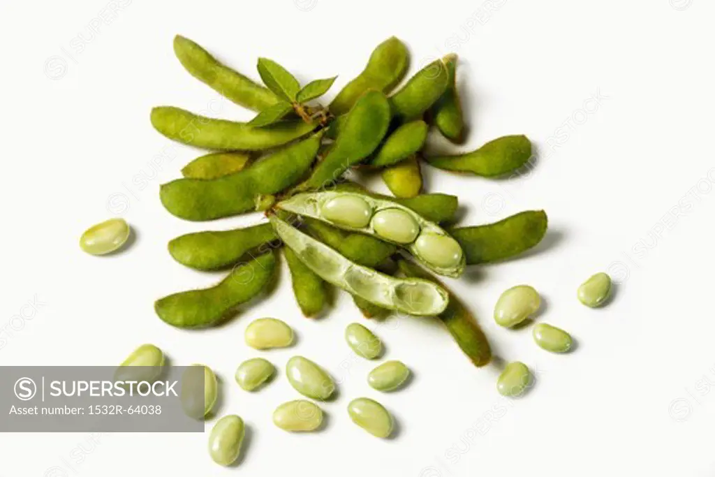 Soybeans; In and Out of Pod