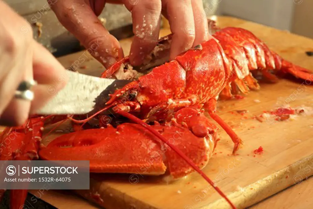 Breaking up a cooked lobster