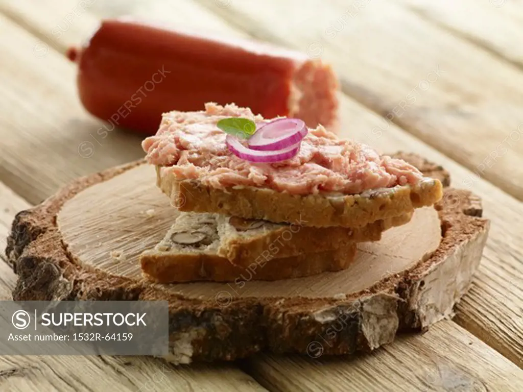 Bread spread with Teewurst and onions
