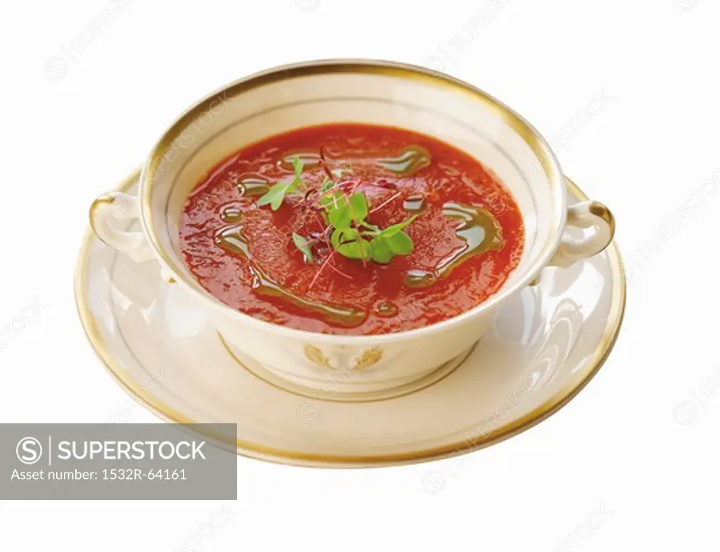 Creamy Fennel Tomato Soup in a Soup Bowl with Saucer