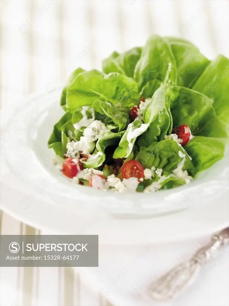 Bib Lettuce Salad with Blue Cheese and Grape Tomatoes in a White Salad Bowl