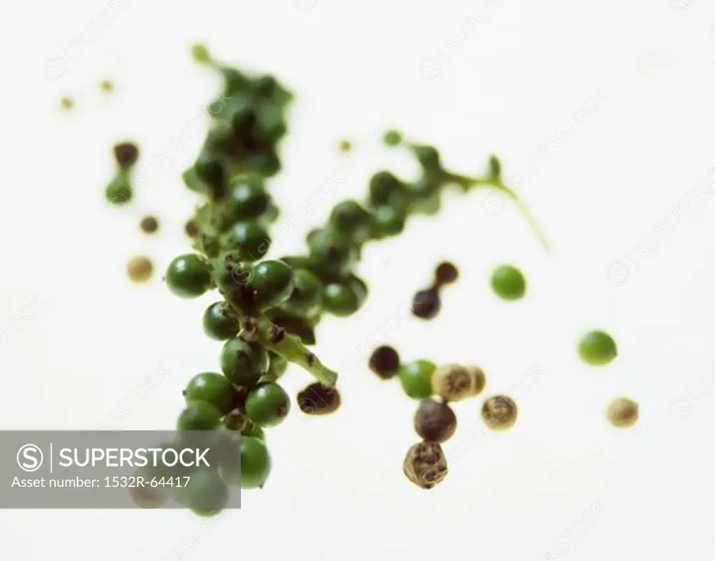 Bunches of green peppercorns