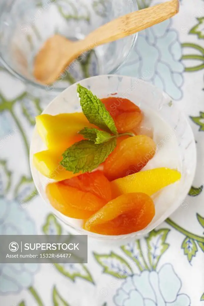 Yogurt with Mango and and Dried Apricots; From Above