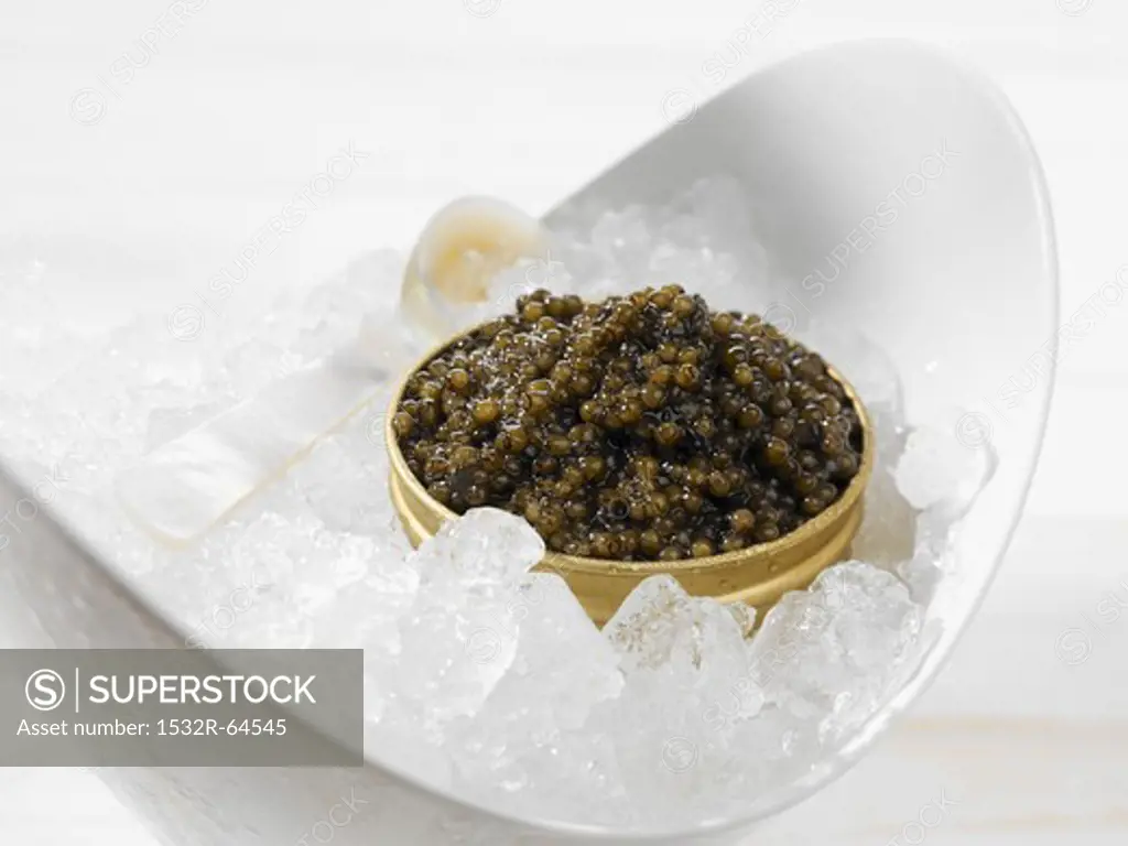 Beluga caviar on ice