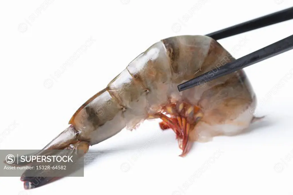 Raw prawn held in chopsticks (close-up)