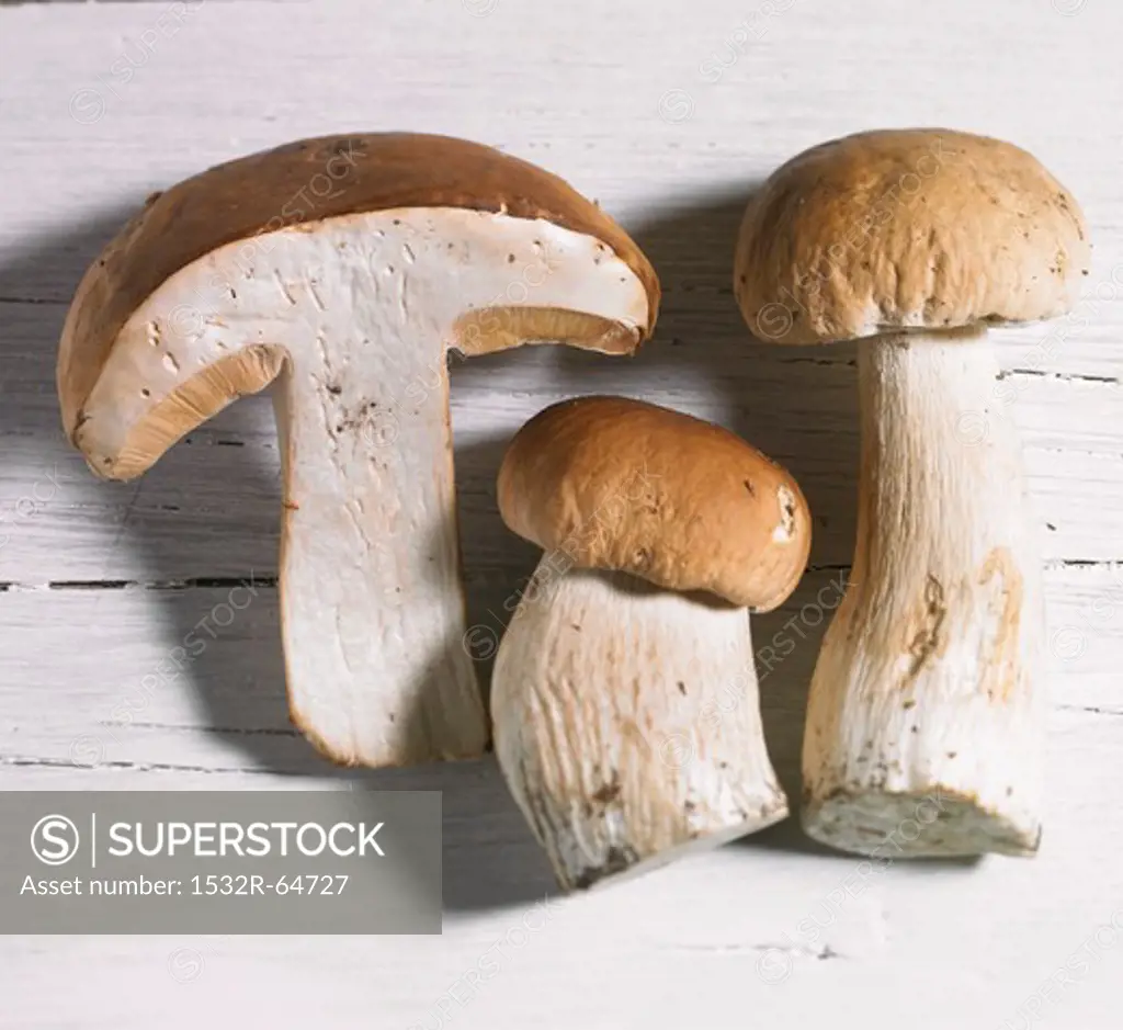 Three fresh porcini mushrooms, whole and halves