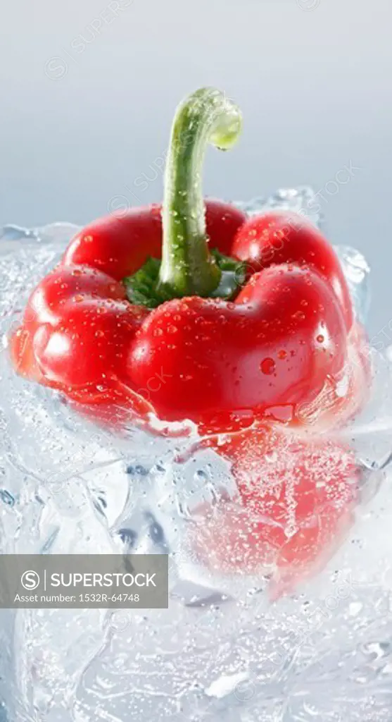 Red pepper in a block of ice
