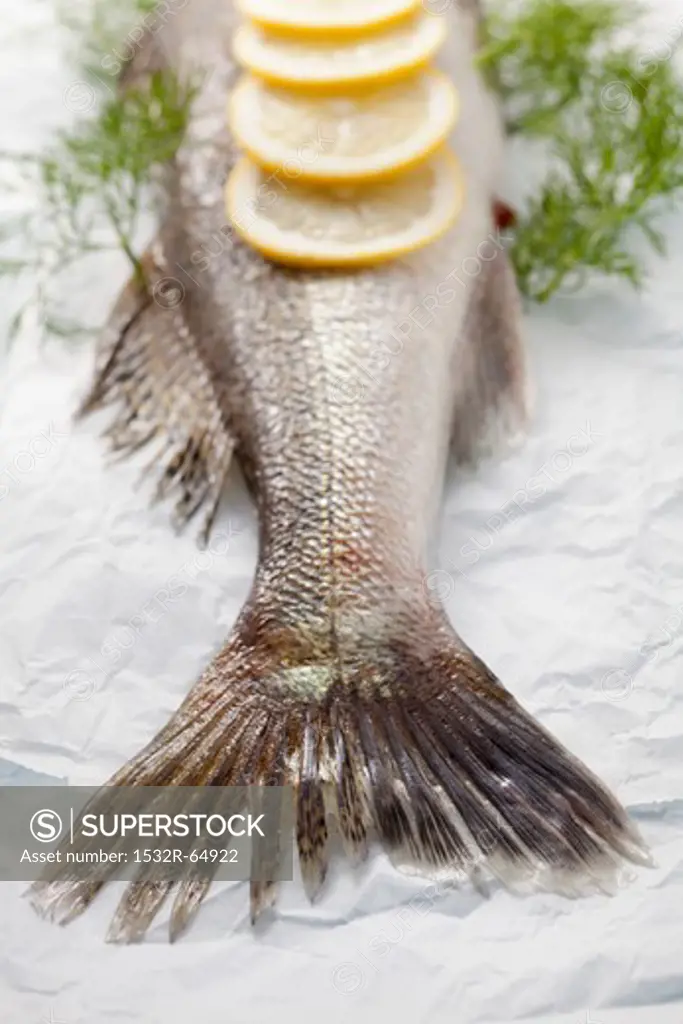 A fish with lemons and dill on parchment paper (detail)