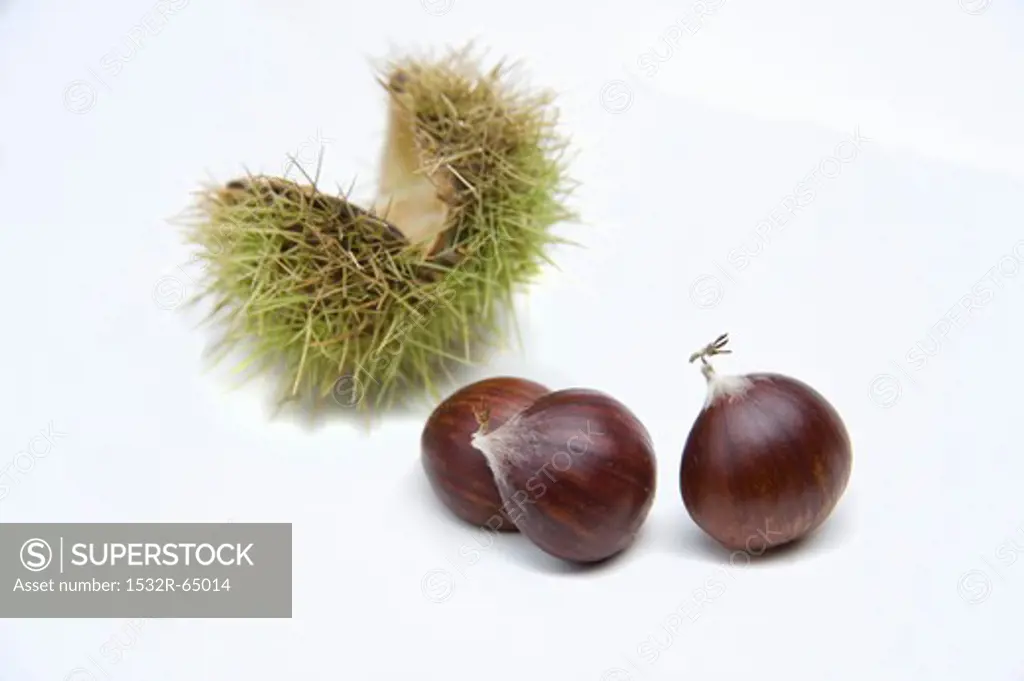 Three chestnuts and open, green chestnut shell