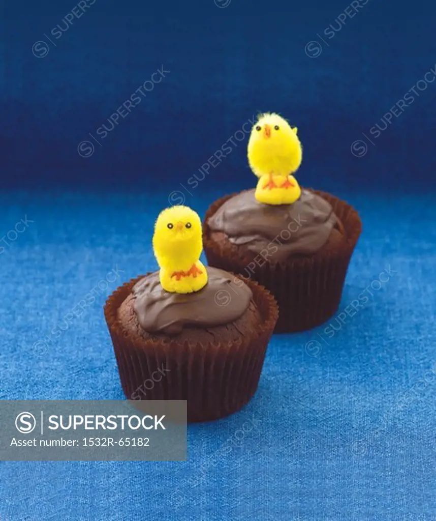 Chocolate cupcakes decorated with Easter chicks
