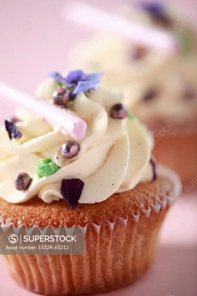 Cupcakes - vanilla flavor