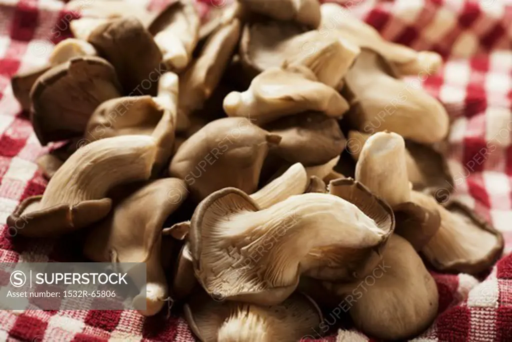 Raw Abalone Mushrooms on a Red and White Cloth