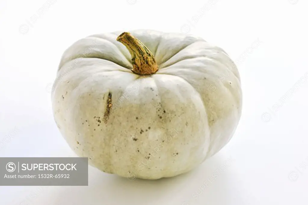 A Blue Hungarian pumpkin