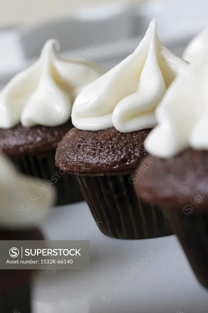 Mini Chocolate Cupcakes with Vanilla Frosting; Close Up