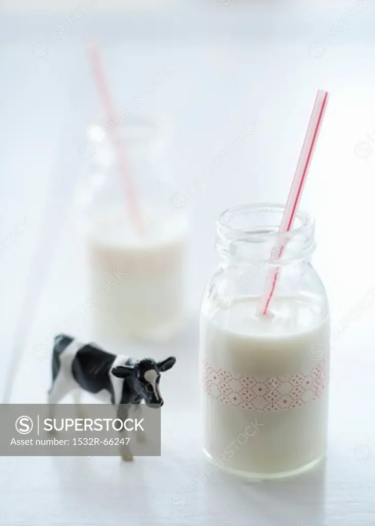 Two Glasses of Milk with Straws; Cow Figurine