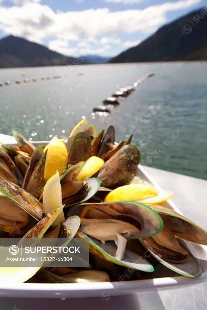 Green-lipped mussels with lemons (Marlborough Sounds, New Zealand)