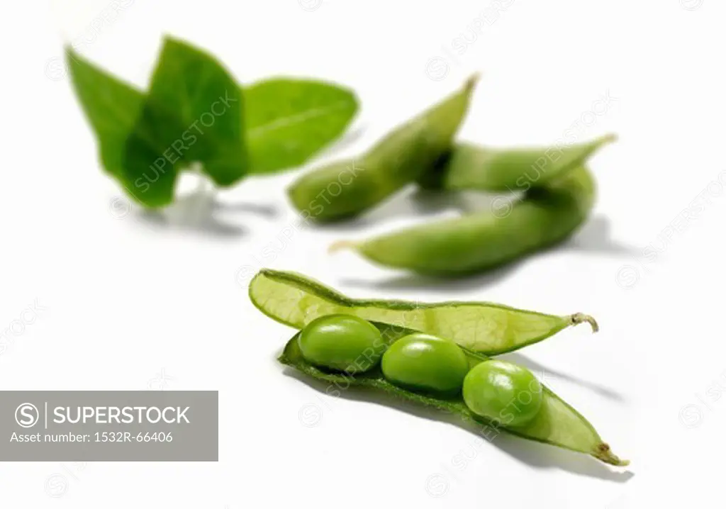 Soy beans in pods
