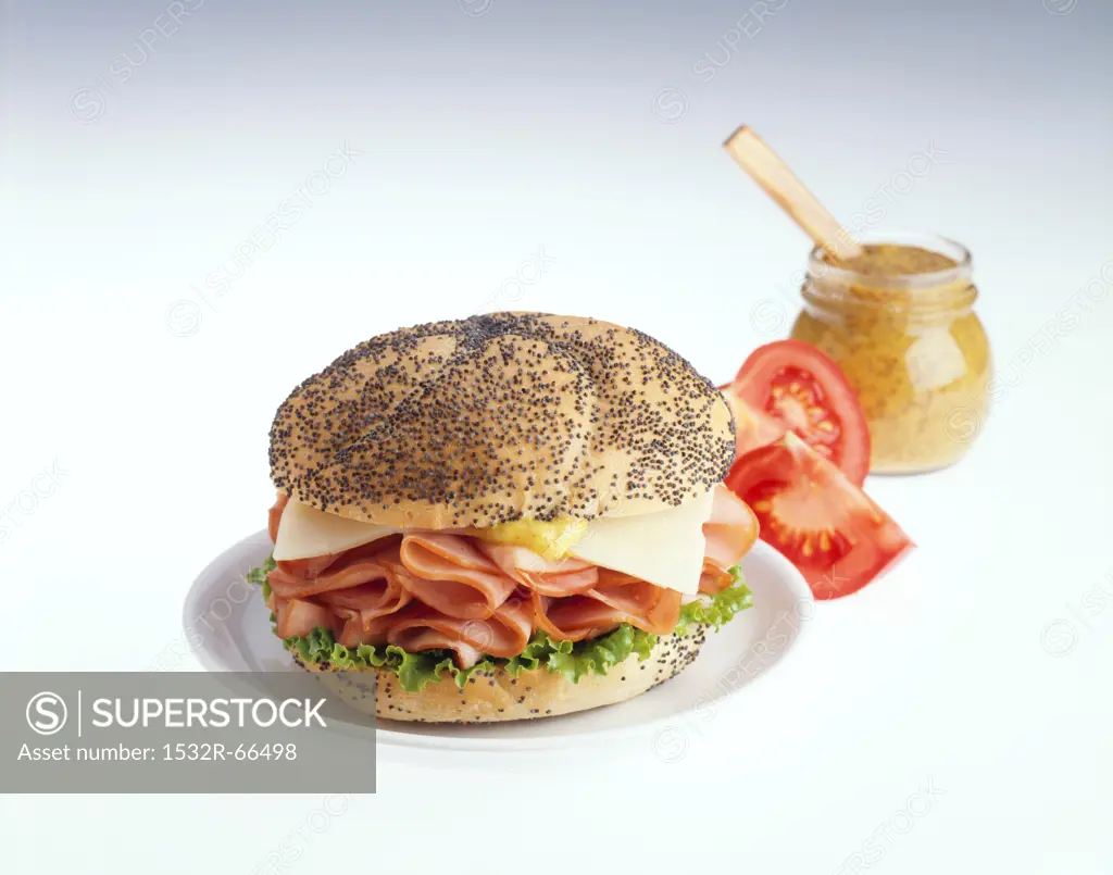 Ham and Cheese Sandwich on a Poppy Seed Roll<br />