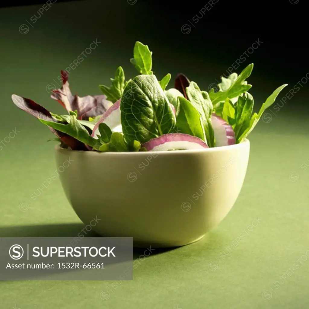 Mixed Greens Salad with Red Onions on a Green Background