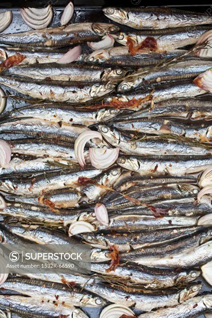 Boquerones (marinated sardines, Spain) on a baking tray