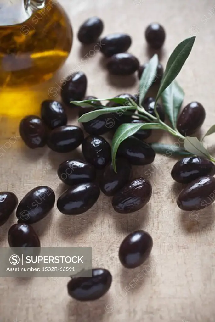 A still life of black olives, a small olive branch and olive oil