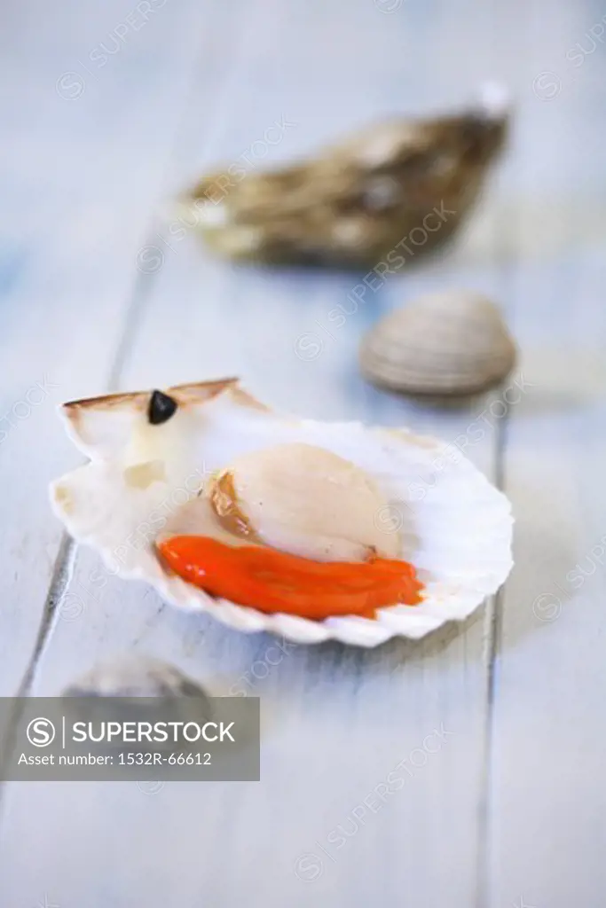 A raw scallop with coral