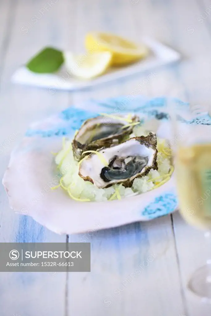 Fresh oysters on a bed of lemon granita