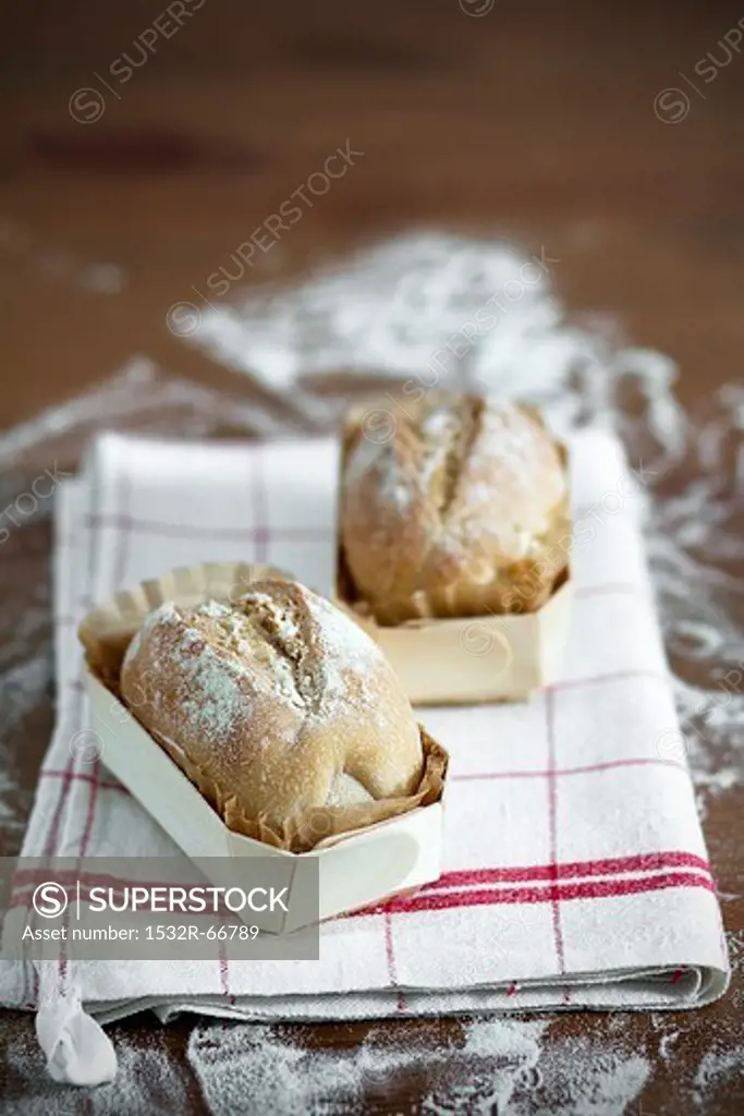 Two miniature loaves of bread