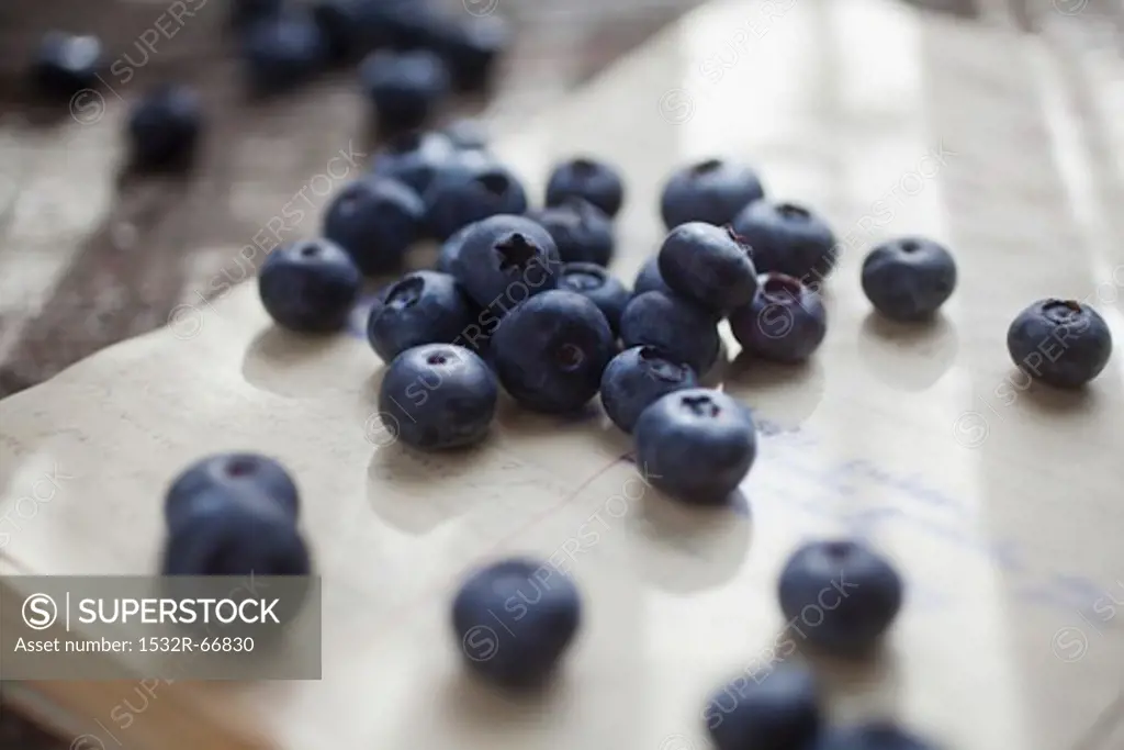 Blueberries on a sheet of paper covered in writing