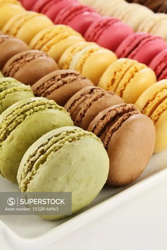 Rows of colorful macarons