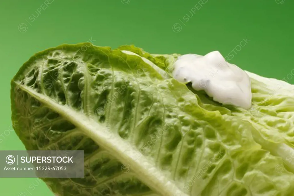 Romaine lettuce and yogurt dressing