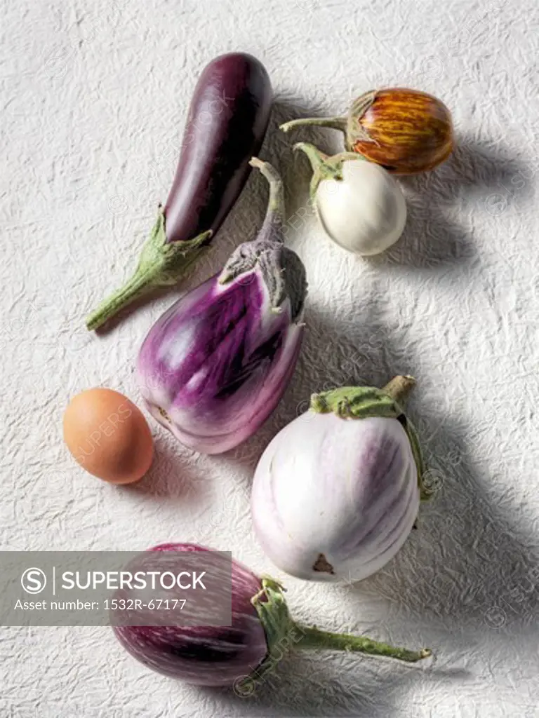 Still life with colorful eggplants and a brown egg