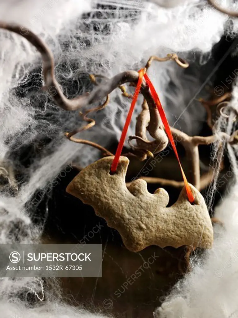 'Bat' cookie ornament in the fog