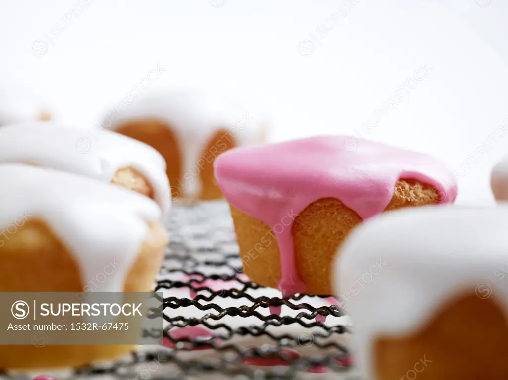 Cupcakes with icing on a cooling rack