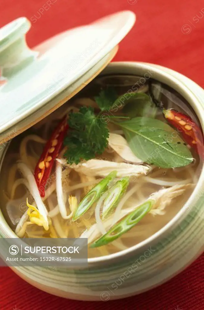 Chicken soup with noodles (Asia)