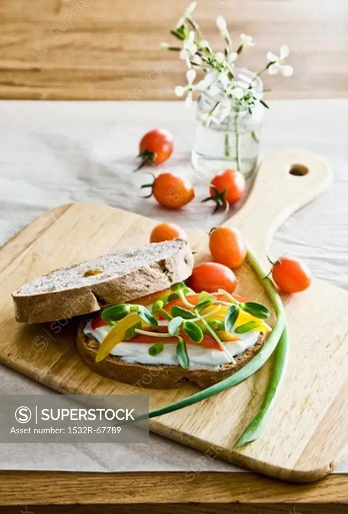 Sandwich with cream cheese, pepper and sprouts