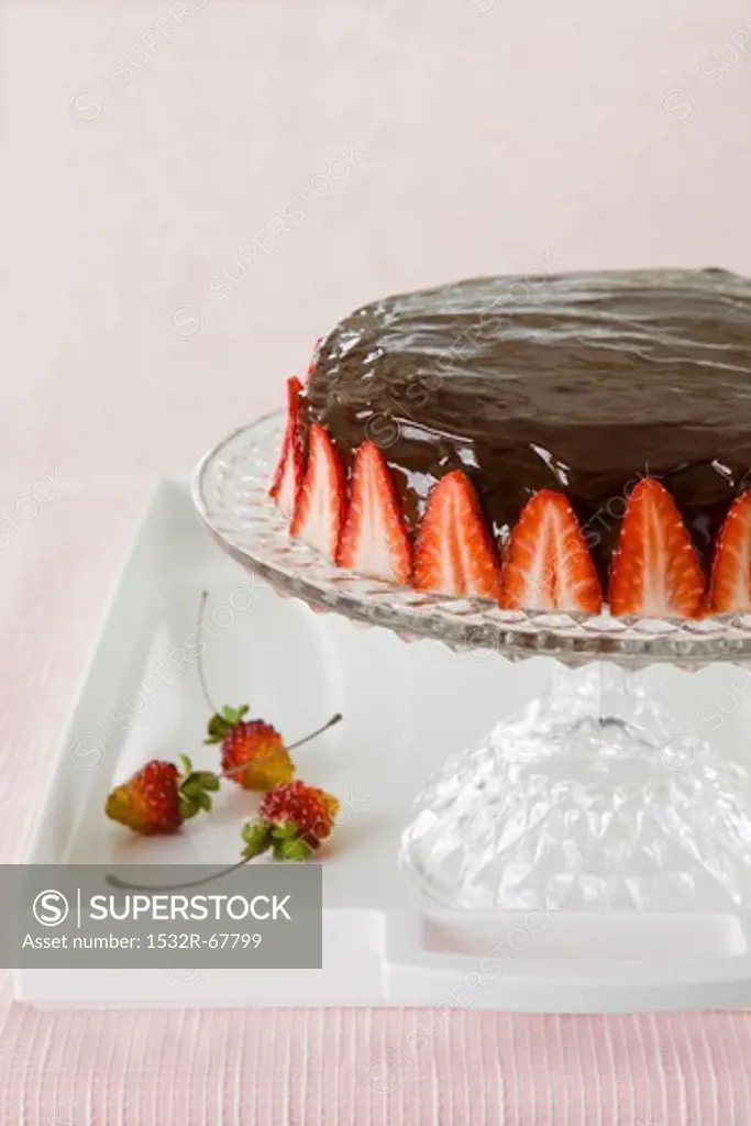 Chocolate torte with strawberries on a torte stand