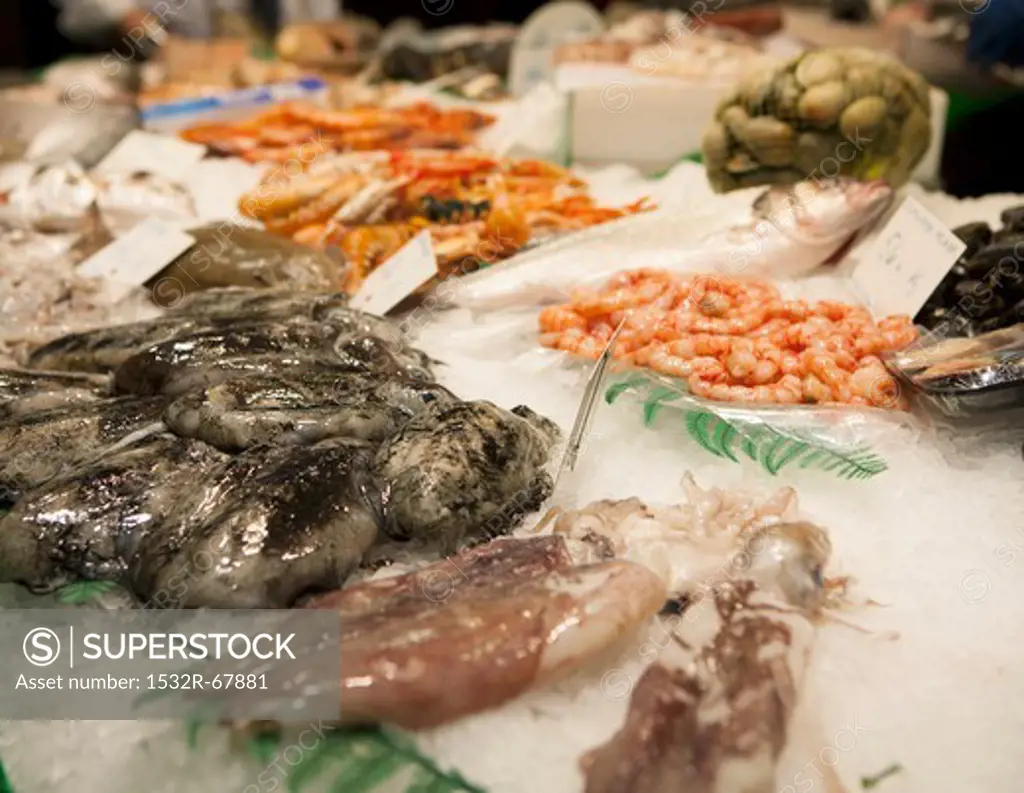 Assorted Fresh Seafood on Ice at a Fish Market in Barcelona Spain